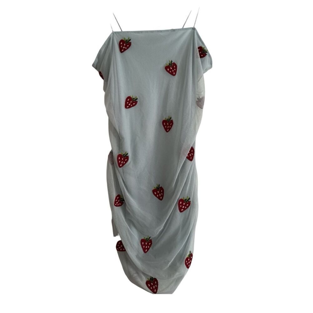 Fade rose Sheer Strawberry-Embroidered Slip Dress in light blue NWOT